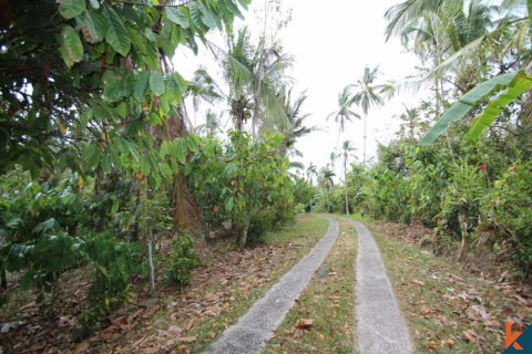 Land in Tabanan, Bali (12179) 3