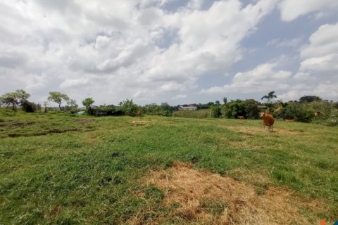 Land in Tabanan, Bali (12282)