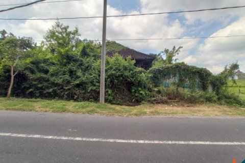 Land in Tabanan, Bali (12283)