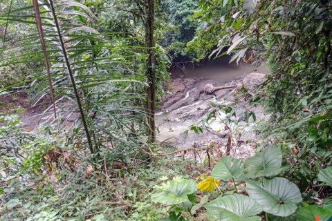 Land in Tabanan, Bali (12284)