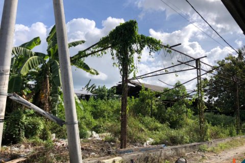 Land in Mengwi, Badung, Bali (12279) 4