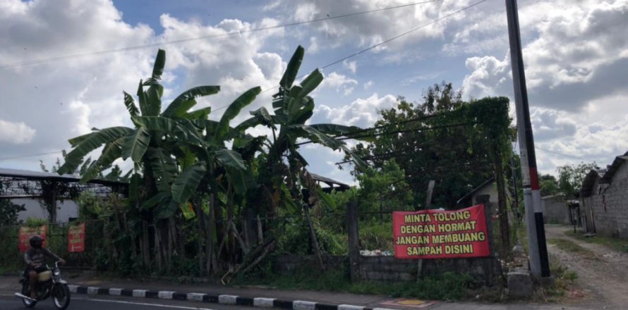 Land in Mengwi, Badung, Bali (12279)