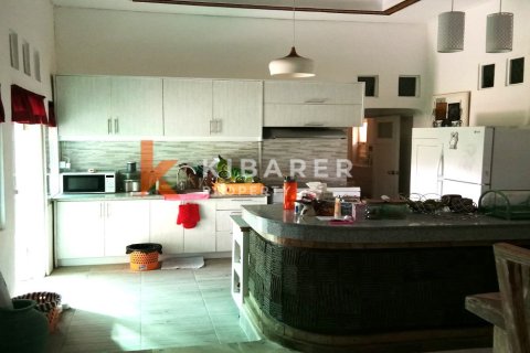 2 bedrooms Villa in Denpasar, Bali (13595) 4