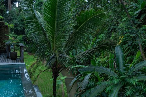 142m2 Villa in Ubud, Gianyar, Bali (10675) 6
