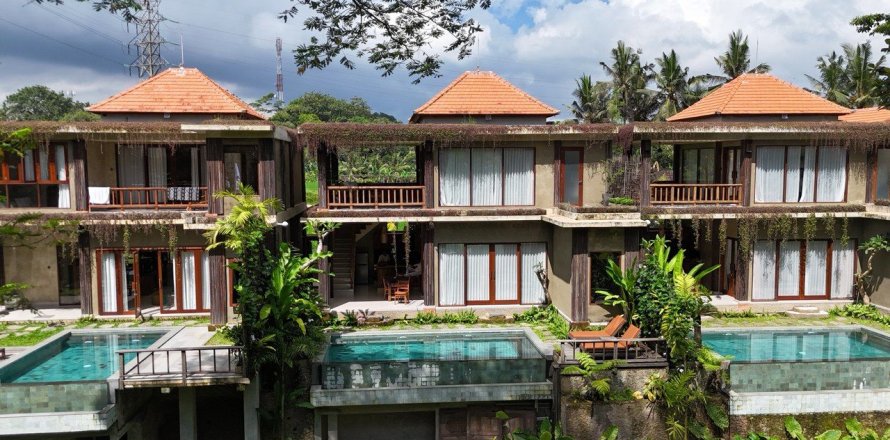 Studio Villa in Ubud, Gianyar, Bali (10674)