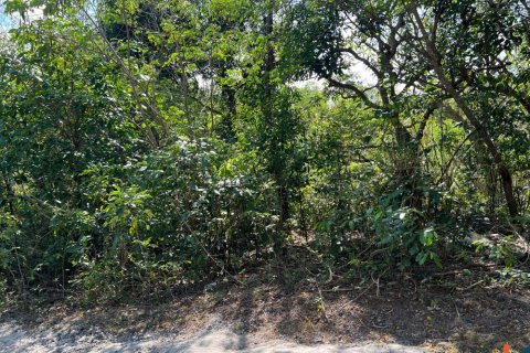 Land in Kuta, Badung, Bali (11786) 2