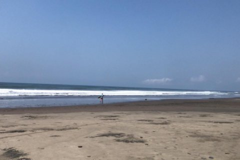 Land in Jembrana, Bali (11789) 2