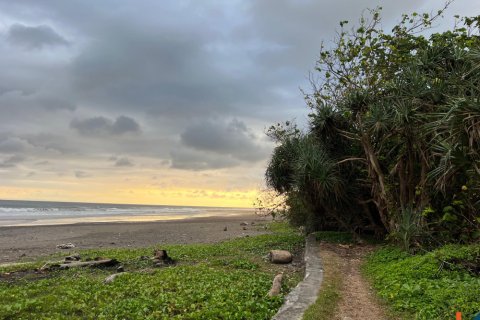 Land in Jembrana, Bali (11789) 8