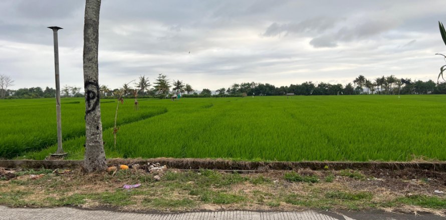 Land in Jembrana, Bali (11789)