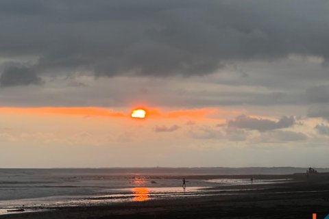 Land in Jembrana, Bali (11789) 5