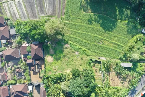 Land in Pererenan, Mengwi, Badung, Bali (11287) 2