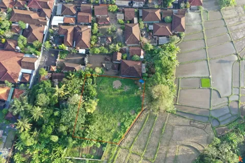 Land in Pererenan, Mengwi, Badung, Bali (11287) 3