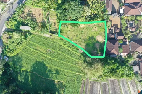 Land in Pererenan, Mengwi, Badung, Bali (11287) 1