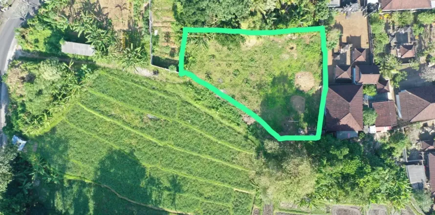 Land in Pererenan, Mengwi, Badung, Bali (11287)