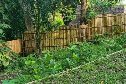Land in Denpasar, Bali (11283) 8