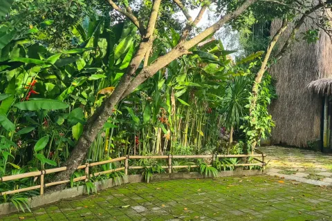 Land in Denpasar, Bali (11283) 6
