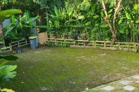 Land in Denpasar, Bali (11283) 7