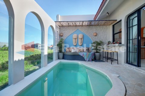 2 bedrooms Villa in Buduk, Mengwi, Badung, Bali (14807) 11