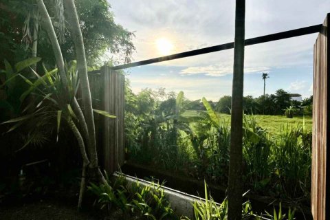 Вилла с 2 спальнями в Семиньяк, Бадунг,  (9419) 3