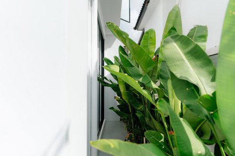 Dream View 2 in Badung,  (9809) 9