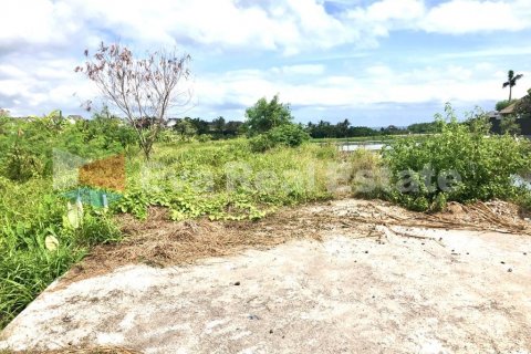 1800m2 Land in Cemagi, Mengwi, Badung, Bali (2522) 4