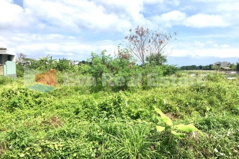 1800m2 Land in Cemagi, Mengwi, Badung, Bali (2522) 3