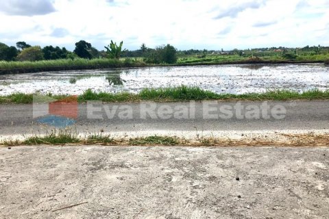 1800m2 Land in Cemagi, Mengwi, Badung, Bali (2522) 2