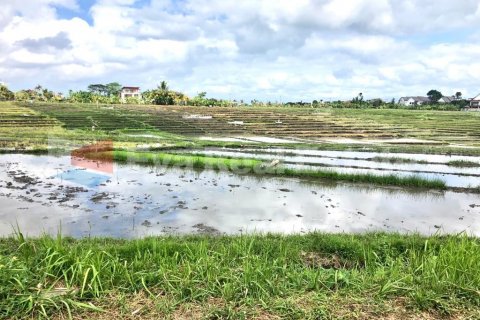 1800m2 Land in Cemagi, Mengwi, Badung, Bali (2522)