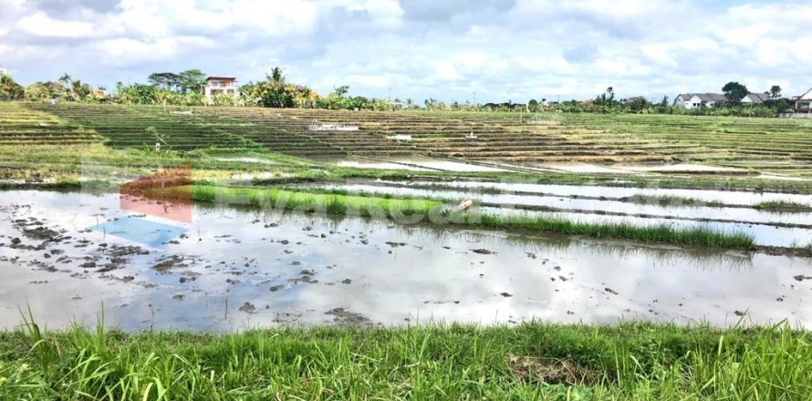 1800m2 Land in Cemagi, Mengwi, Badung, Bali (2522)