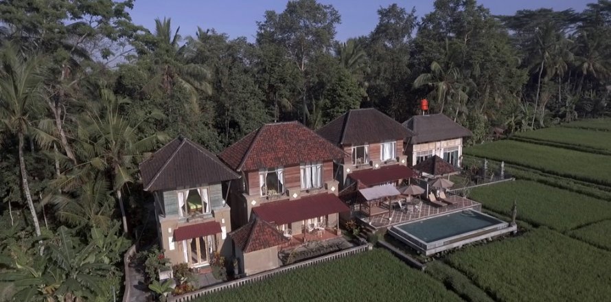 7 bedrooms Villa in Ubud, Gianyar, Bali (12294)