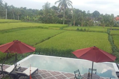 7 bedrooms Villa in Ubud, Gianyar, Bali (12294) 6