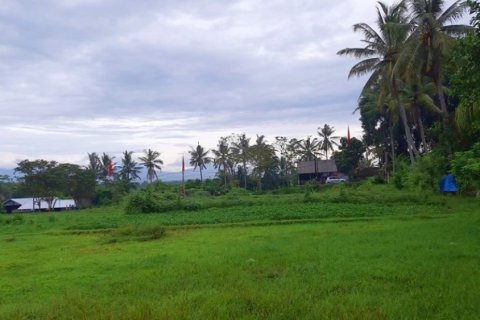 Land in Mengwi, Badung, Bali (12293) 3