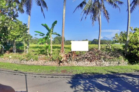 Land in Mengwi, Badung, Bali (12293)