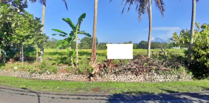 Land in Mengwi, Badung, Bali (12293)