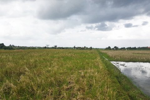 Land in Kediri, Tabanan, Bali (12292)