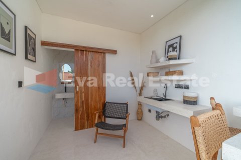 2 bedrooms Villa in Canggu, Badung, Bali (14779) 14