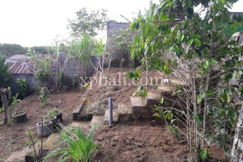 800m2 Land in Buleleng, Bali (14003) 8