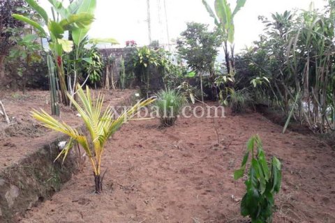 800m2 Land in Buleleng, Bali (14003) 10