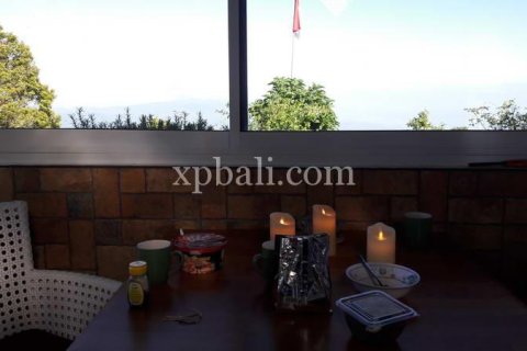 800m2 Land in Buleleng, Bali (14003) 4