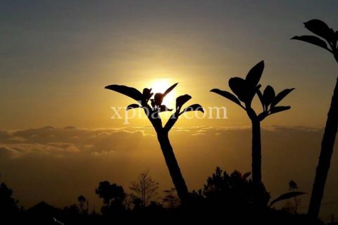 800m2 Land in Buleleng, Bali (14003) 9