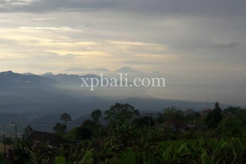 800m2 Land in Buleleng, Bali (14003) 14