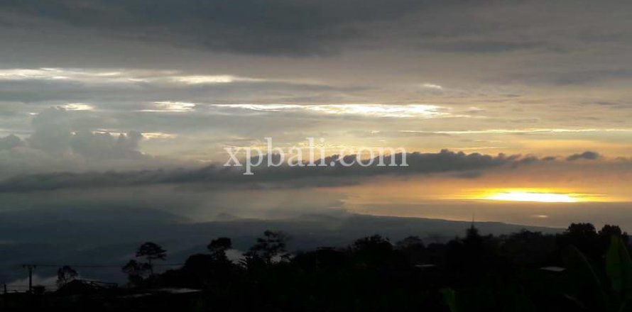 800m2 Land in Buleleng, Bali (14003)