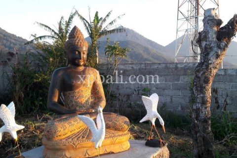 800m2 Land in Buleleng, Bali (14003) 19