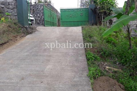 800m2 Land in Buleleng, Bali (14003) 16