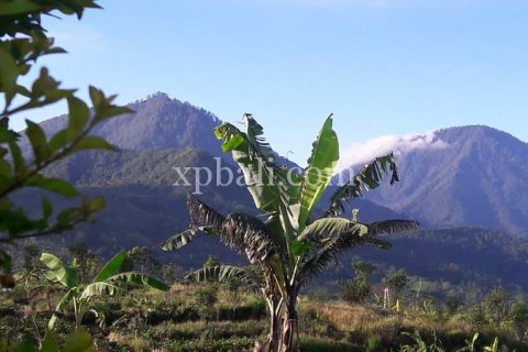 800m2 Land in Buleleng, Bali (14003) 17