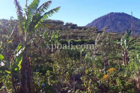800m2 Land in Buleleng, Bali (14003) 20