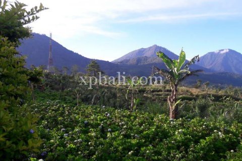 800m2 Land in Buleleng, Bali (14003) 18