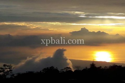 800m2 Land in Buleleng, Bali (14003) 11