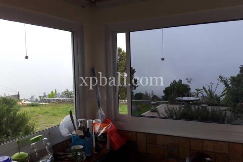 800m2 Land in Buleleng, Bali (14003) 5