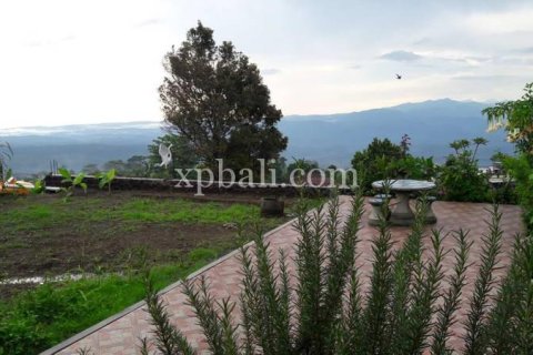 800m2 Land in Buleleng, Bali (14003) 3